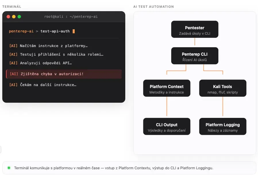 Penterep AI CLI workflow